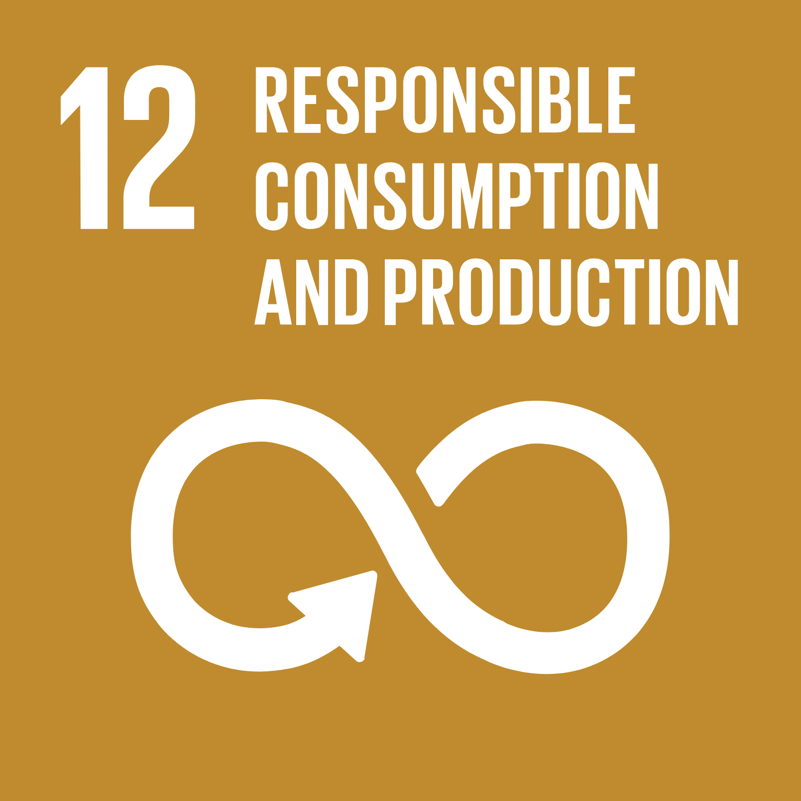 Sustainable Goal 21