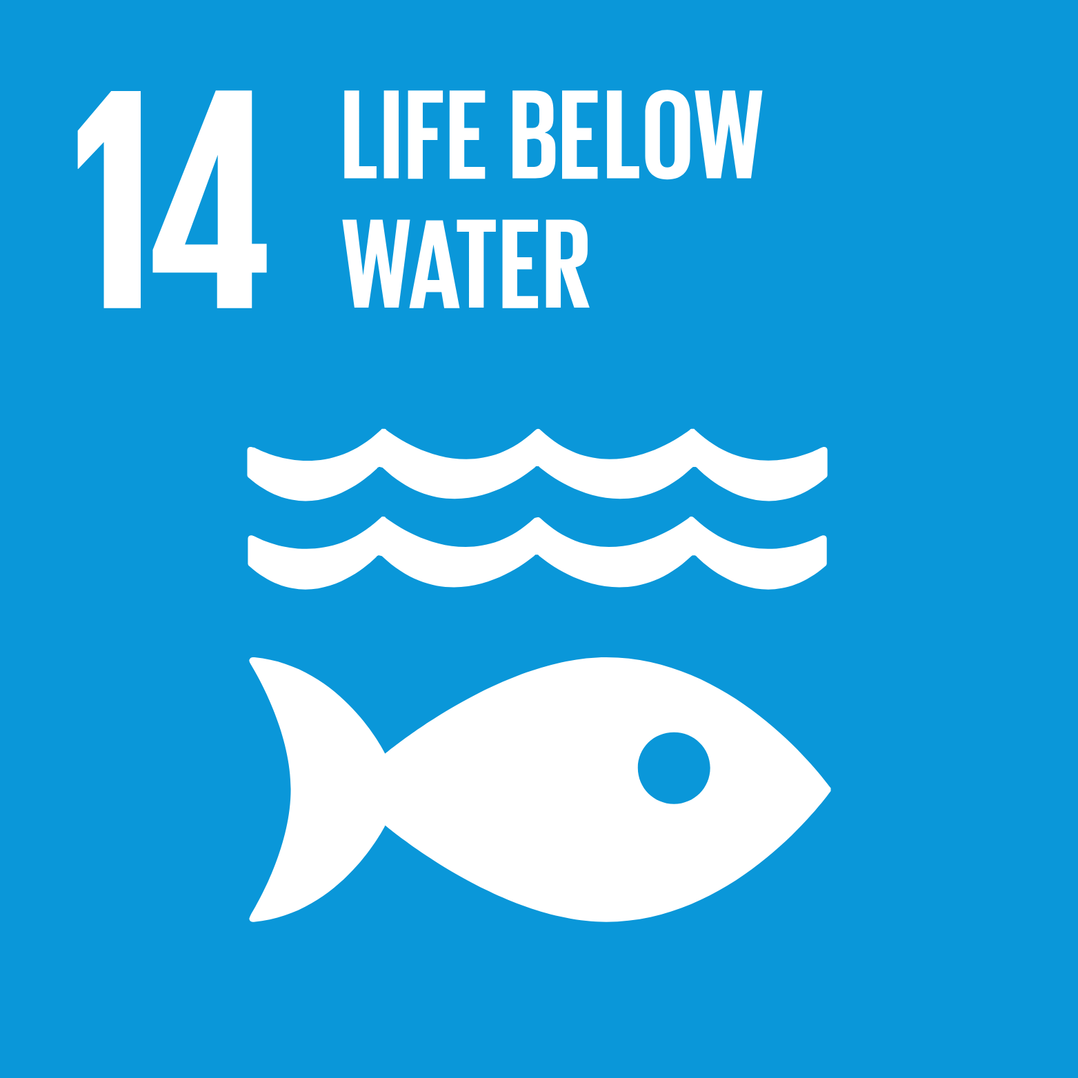 Sustainable Goal 22