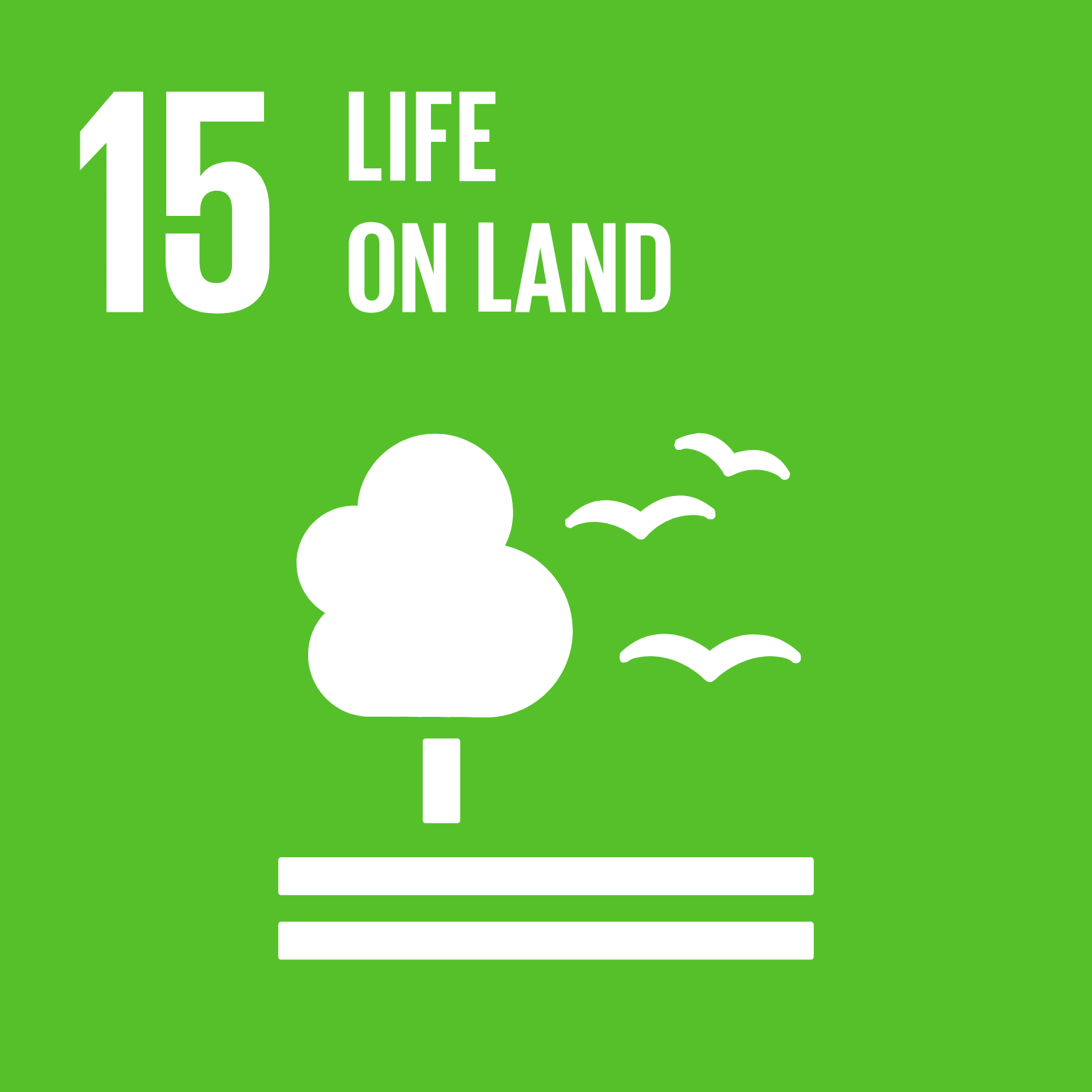 Sustainable Goal 23